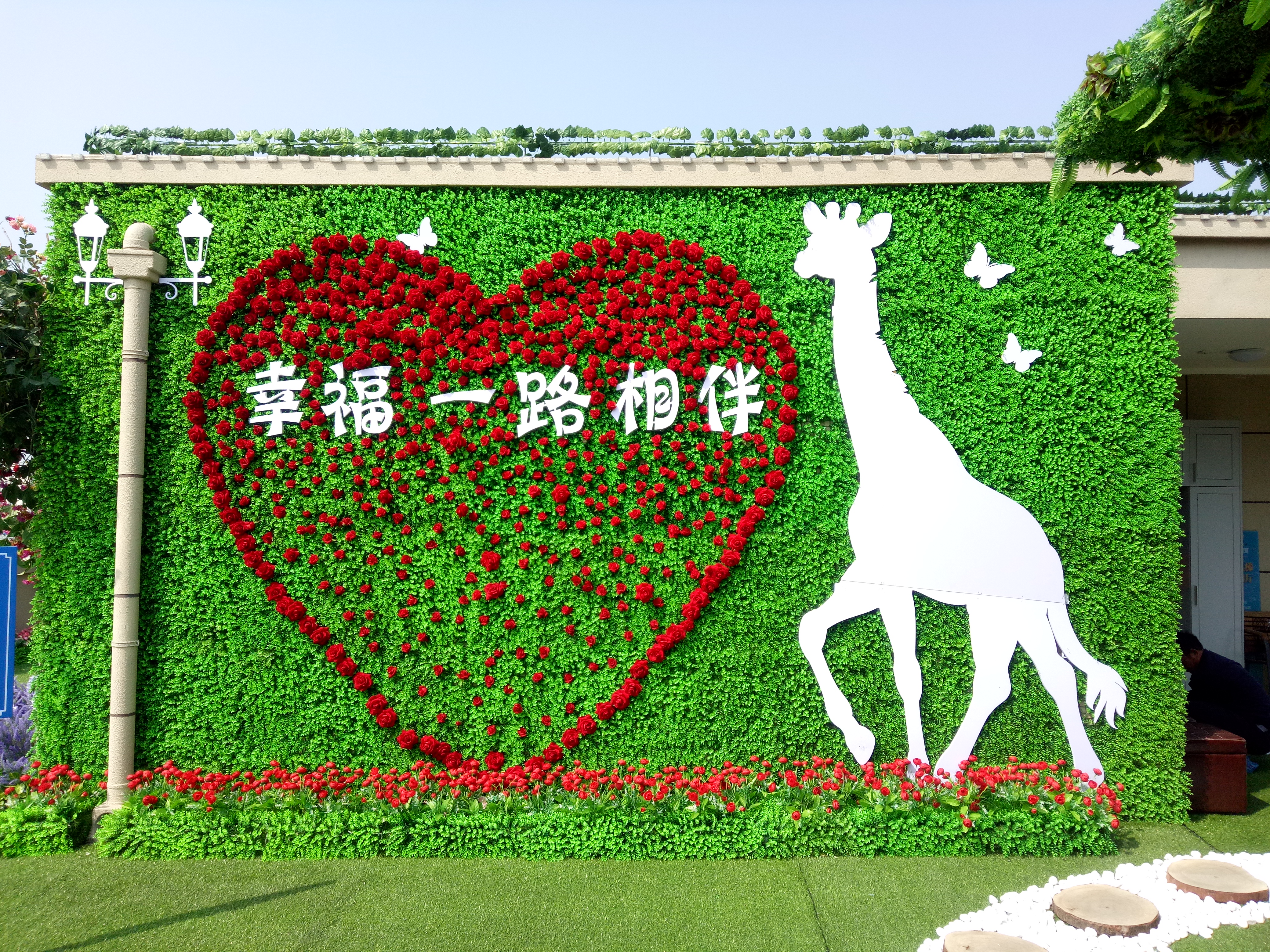 绿植包装
